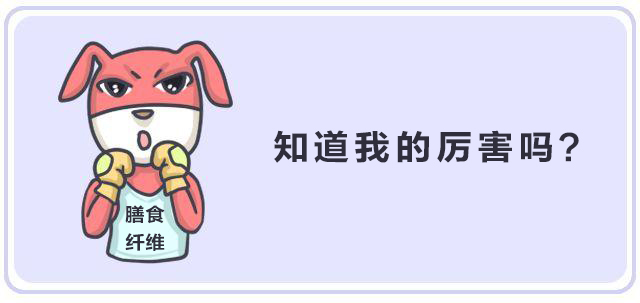 纖維時代，未來已來
