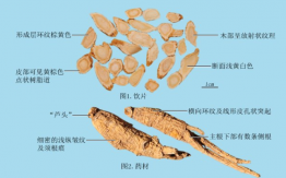 西洋參