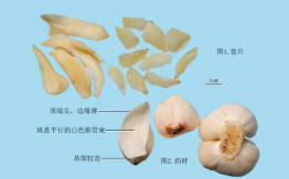 百合