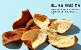 橘皮