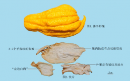 佛手